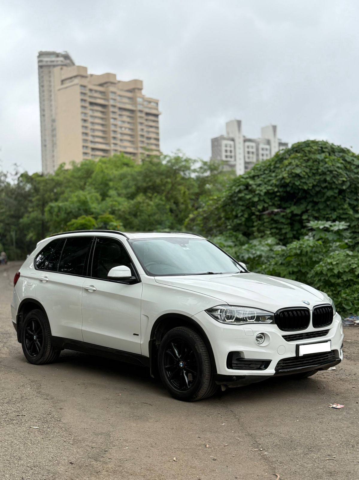 2015 BMW X5 Xdrive30d